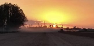 Se acerca el fin de la cosecha: “En nuestra zona el balance es positivo”