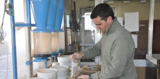 Soja: Los lotes post temporal arrojaron, en promedio un 20% de granos dañados