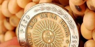 ¿Qué es el «Fondo Sojero» y por qué se habla tanto de él?