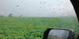 Finalmente llegó la ansiada lluvia aunque con algo de granizo