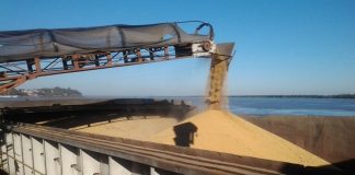 Diciembre se encamina a ser un mes record de exportación de trigo