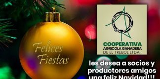 Feliz Navidad!!!!