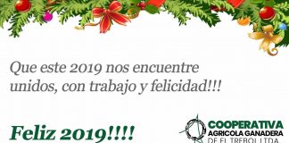 Feliz 2019!!!