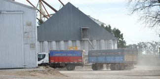 La Cooperativa y un acopio récord de maíz