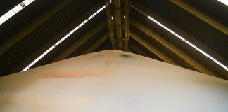 En junio se industrializaron 9 de cada 10 toneladas de soja