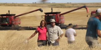 Por las retenciones, productor sembrará año por medio y demuestra que es más rendidor
