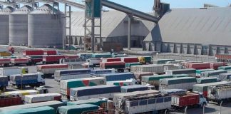 COVID-19: Las cerealeras buscan llevar tranquilidad sobre el trabajo en los puertos