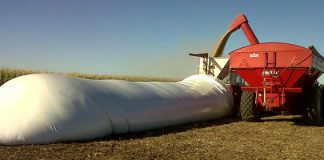 El gobierno decidió restringir el acceso a créditos a productores que retengan soja o trigo