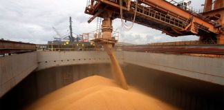 En un contexto de pandemia, las exportaciones agroindustriales sostienen el ingreso de dólares al país