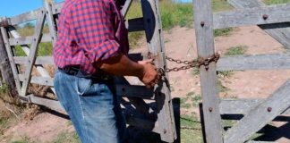 Por cada $100 de renta del productor agropecuario, $62 son para el Estado a través de impuestos