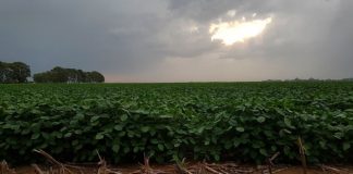 Verano 2021: Lluvias “moderadamente inferiores”