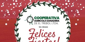Felices Fiestas!!!