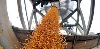 Otro récord: en mayo, el agro liquidó 3,5 mil millones de dólares