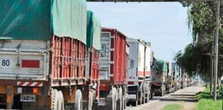 Curso gratis para aprender la Carta de Porte Electrónica para Transporte de Granos