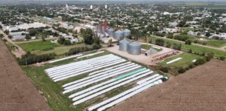 “Logramos un mayor acercamiento con el asociado y un notable crecimiento en materia de acopio”