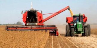 Campaña gruesa: “Lamentablemente hoy la productividad no condice con la rentabilidad”
